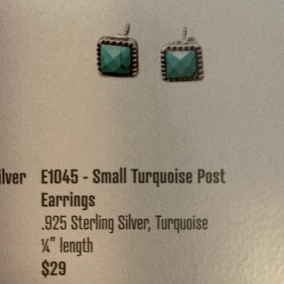 Opulenza Sterling Silver Post Turquoise earrings. NEW Never worn. - Picture 2 of 3